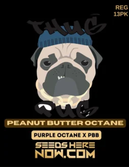 Peanut Butter Octane regular cannabis seeds pack by Thug Pug Genetics