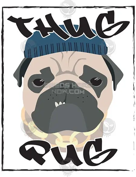 Peanut Butter Poop Regular Cannabis Seeds by Thug Pug Genetics featuring earthy, nutty flavors