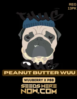 Peanut Butter Wuu cannabis seeds by Thug Pug Genetics, featuring WuuBerry and Peanut Butter Breath lineage