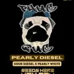 Pearly Diesel (Regular) - Thug Pug Genetics
