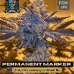 Permanent Marker S1 (Feminized) - Elite Clone Seed Company