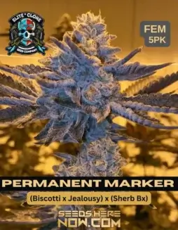Permanent Marker S1 feminized seeds by Elite Clone Seed Company featuring Biscotti, Jealousy, and Sherb BX genetics