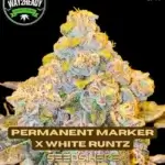 Permanent Marker x White Runtz (Feminized) - Way2heady Selections