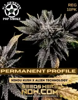 Permanent Profile Cannabis Seeds (space) Hindu Kush x Alien Technology by G.I. Genetix