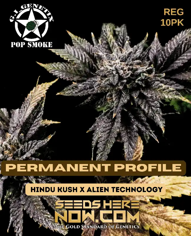 Permanent Profile Cannabis Seeds - Hindu Kush x Alien Technology by G.I. Genetix