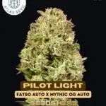 Pilot Light (Autoflower) - Atlas Seeds