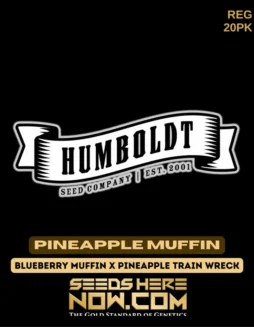 Pineapple Muffin cannabis seeds by Humboldt Seed Company, featuring Blueberry Muffin and Pineapple Trainwreck genetics