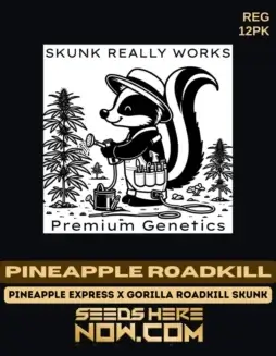 Pineapple Roadkill Cannabis Seeds (space) Tropical Pineapple & Skunk Aromas