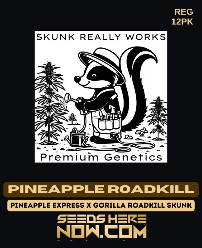 Pineapple Roadkill Cannabis Seeds - Tropical Pineapple & Skunk Aromas