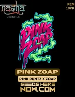Pink Zoap cannabis seeds by Nasha Genetics, feminized seeds with fruity and earthy flavors