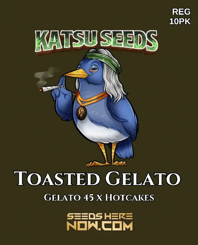 Platinum Affie 78 regular seeds by Green Bodhi Genetics featuring Platinum Girl Scout Cookies and OG LA #78 lineage