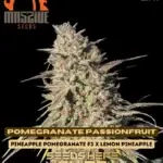 Pomegranate Passionfruit (Regular) - Massive Seeds