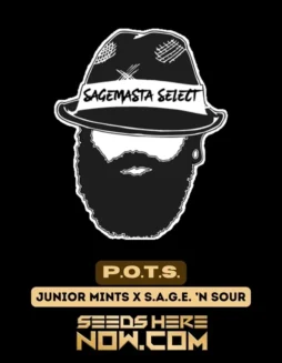 P.O.T.S. Regular Seeds by S.A.G.E.masta (space) Cannabis Genetics Junior Mint and S.A.G.E. ’n Sour
