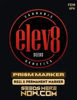 Prism Marker Feminized Seeds (space) Hybrid Cannabis Strain by Elev8 Seeds