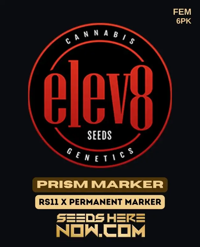 Prism Marker Feminized Seeds - Hybrid Cannabis Strain by Elev8 Seeds
