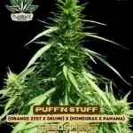 Puff'n Stuff (Feminized) - Flashback Seeds