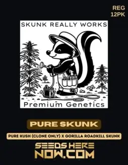 Pure Skunk Regular Seeds with 25% THC (space) Hybrid Strain by Skunk Really Works