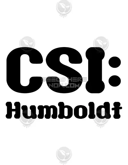 Purple Hindu Kush X Chemdog D cannabis seeds by CSI Humboldt, feminized with earthy and citrus aroma