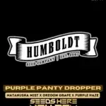 Purple Panty Dropper (Regular) - Humboldt Seed Company