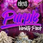 Purple Variety Pack (Feminized) - Elev8 Seeds
