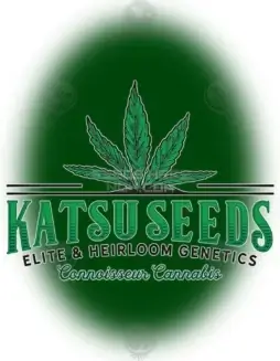 Pythagorean Syrup cannabis seeds by Katsu Seeds, Triangle Kush x Hotcakes lineage, Indica dominant with sweet syrup and earthy pine aroma
