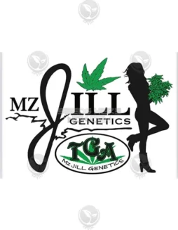 Querkle Regular Seeds (space) Indica(space)dominant hybrid by Mz Jill Genetics featuring Purple Urkle and Space Queen lineage