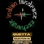 Quetta Selection #3 (Regular) - Indian Landrace Exchange