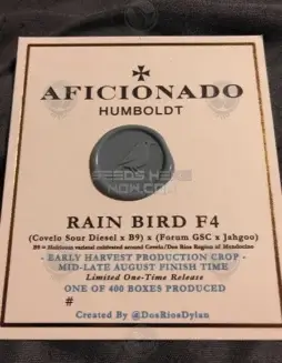 Rain Bird F4 Regular Seeds (space) Hybrid Cannabis Strain by Aficionado Seeds featuring citrus, pine, and earthy aromas