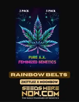 Rainbow Beltz S1 Feminized Cannabis Seeds by Pure XX