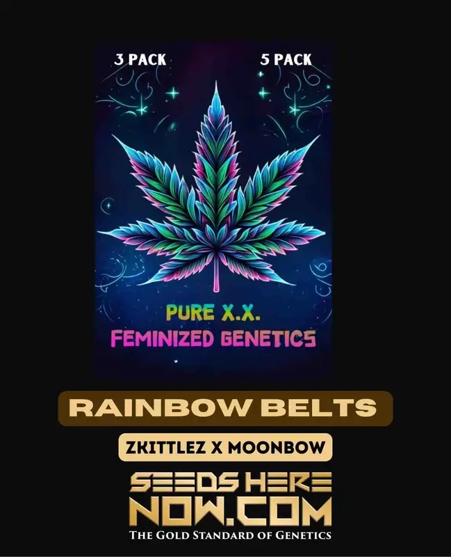 Rainbow Beltz S1 Feminized Cannabis Seeds by Pure XX