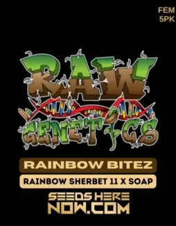 Rainbow Bitez cannabis seeds in packaging (space) feminized hybrid by Raw Genetics