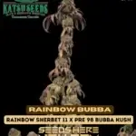 Rainbow Bubba (Feminized) - Katsu Seeds