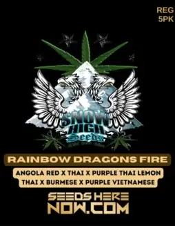 Rainbow Dragons Fire cannabis seeds packet by Snow High Seeds featuring exotic genetics and vibrant character.