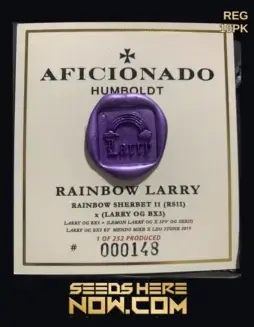Rainbow Larry Cannabis Seeds featuring Rainbow Sherbet and Larry OG Lineage