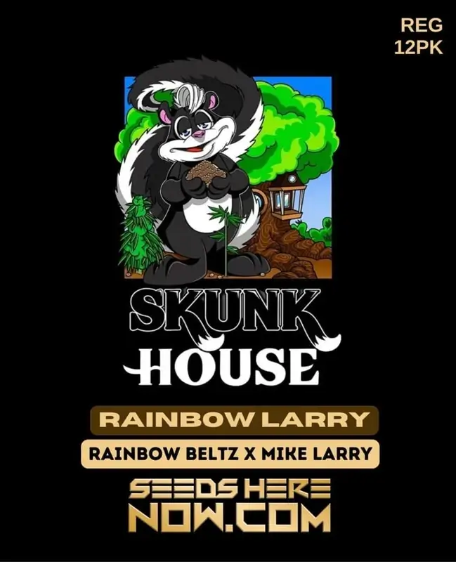Rainbow Larry cannabis seeds from California Seedbank Genetics featuring Rainbow Belts x Mike Larry genetics