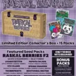 Raskal Berries Box Set (Feminized) - Sin City Seeds