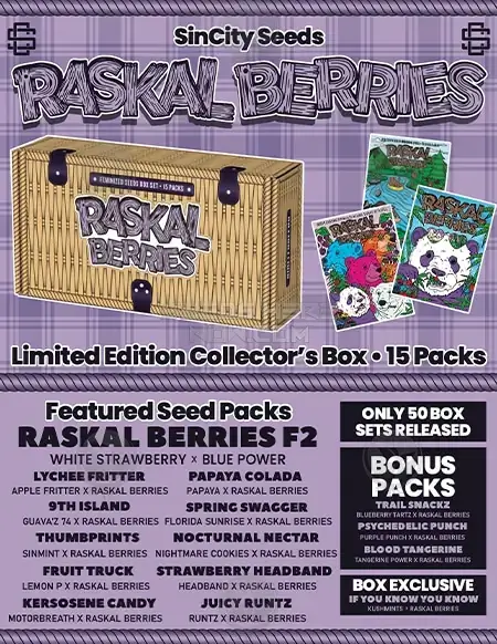 Feminized Raskal Berries cannabis seeds by Sin City Seeds, featuring berry, citrus, and pine flavors