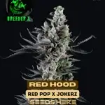 R€d Hood (Feminized) - Breeder X