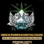 Red & Purple Metal Haze (Regular) - Snow High Seeds