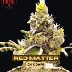 Red Matter (Feminized) - Elev8 Seeds