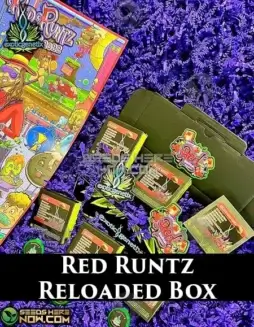 Red Runtz Reloaded Box cannabis seeds by Exotic Genetix, feminized variety