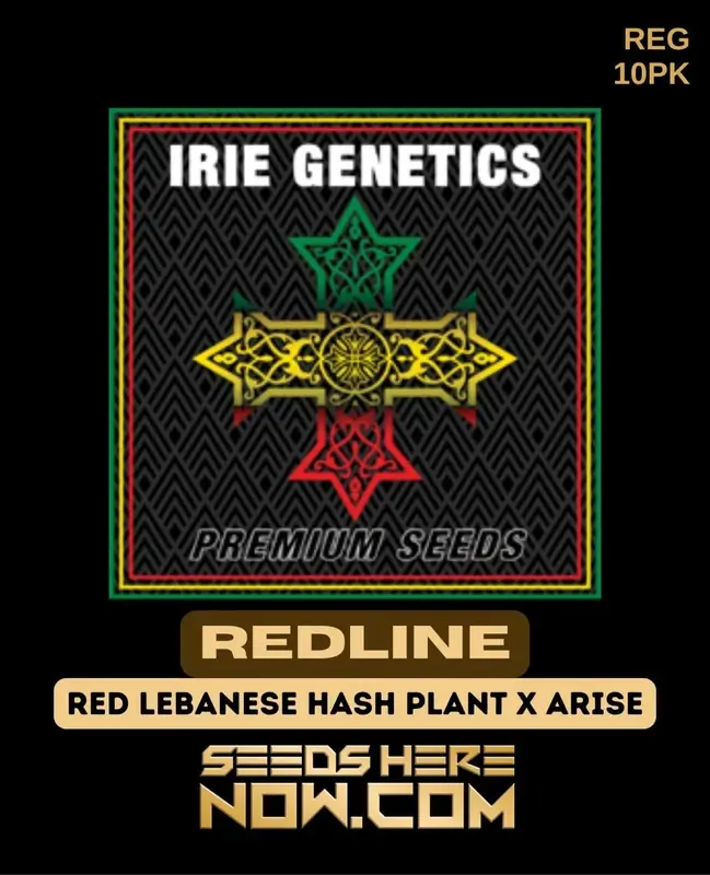Pack of Redline regular cannabis seeds by Irie Genetics, a sativa-dominant hybrid with 20-25% THC.