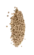 Buy Regular Marijuana Seeds