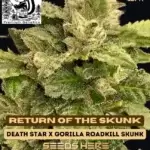 Return of The Skunk (Regular) - Skunk Really Works