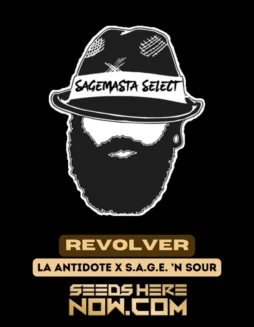 Revolver Cannabis Seeds (space) Sativa(space)leaning Genetics by S.A.G.E.masta Select