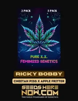 Ricky Bobby S1 Feminized Seeds (space) Hybrid Cannabis by Pure XX