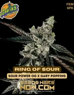 Ring Of Sour Cannabis Seeds by Exotic Genetix, featuring Sour Power OG and Gary Poppins genetics