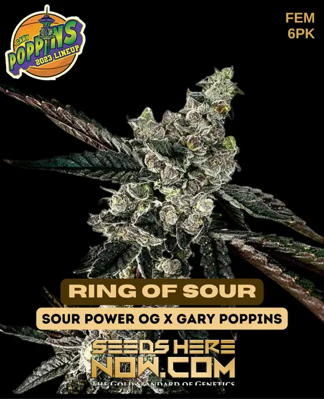 Ring Of Sour Cannabis Seeds by Exotic Genetix, featuring Sour Power OG and Gary Poppins genetics