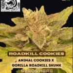 Roadkill Cookies (Regular) - Skunk Really Works
