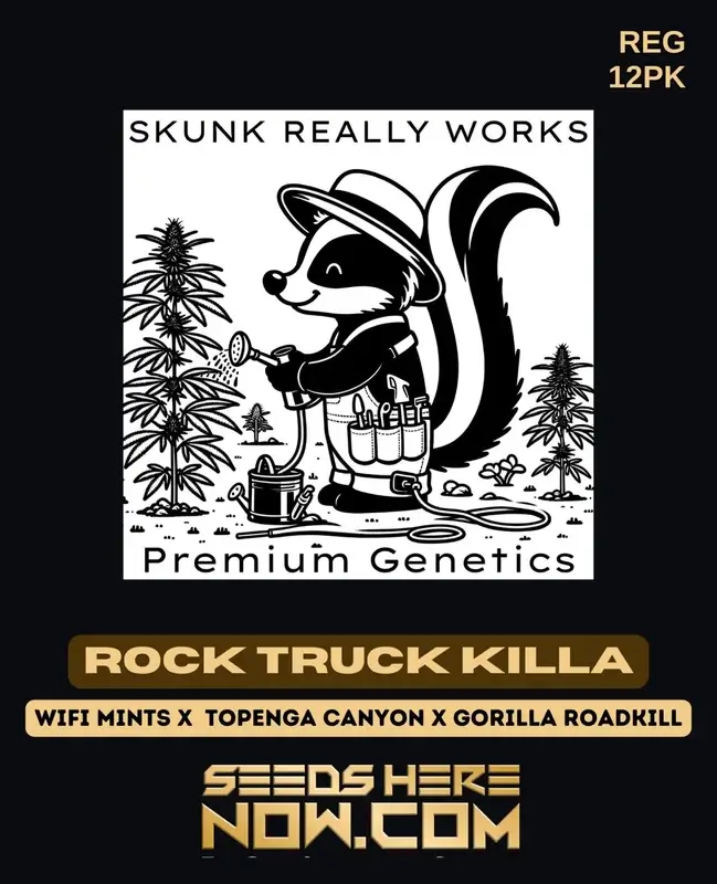 Rock Truck Killa Regular Seeds featuring a blend of Wifi Mints, Topenga Canyon, and Gorilla Road Kill